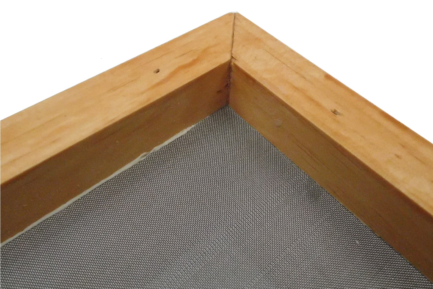 Image2